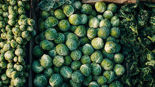 蔬菜批发市场照片