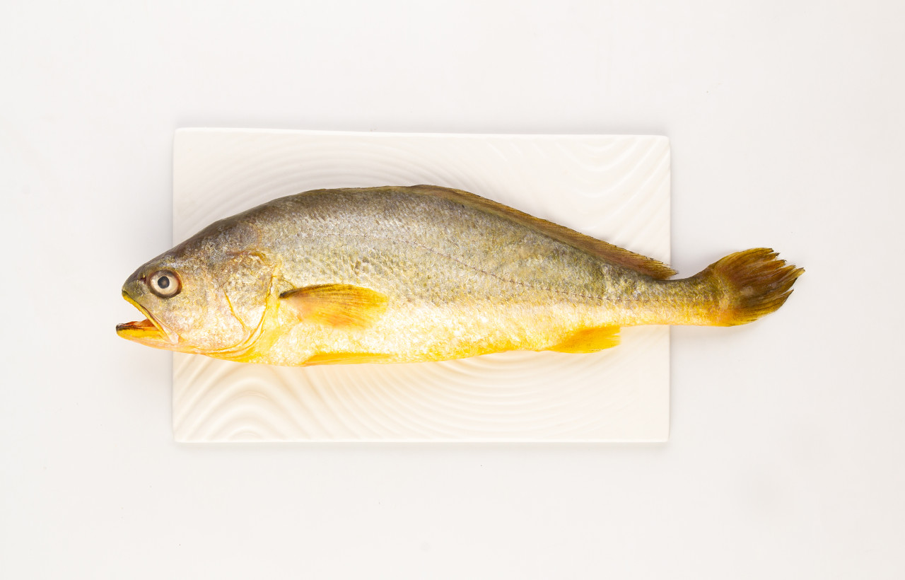 温州大黄鱼